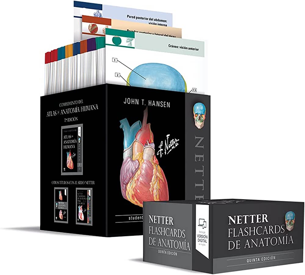 HANSEN, J.T., NETTER. FLASHCARDS DE ANATOMÍA 5 ED. © 2020 R 2022