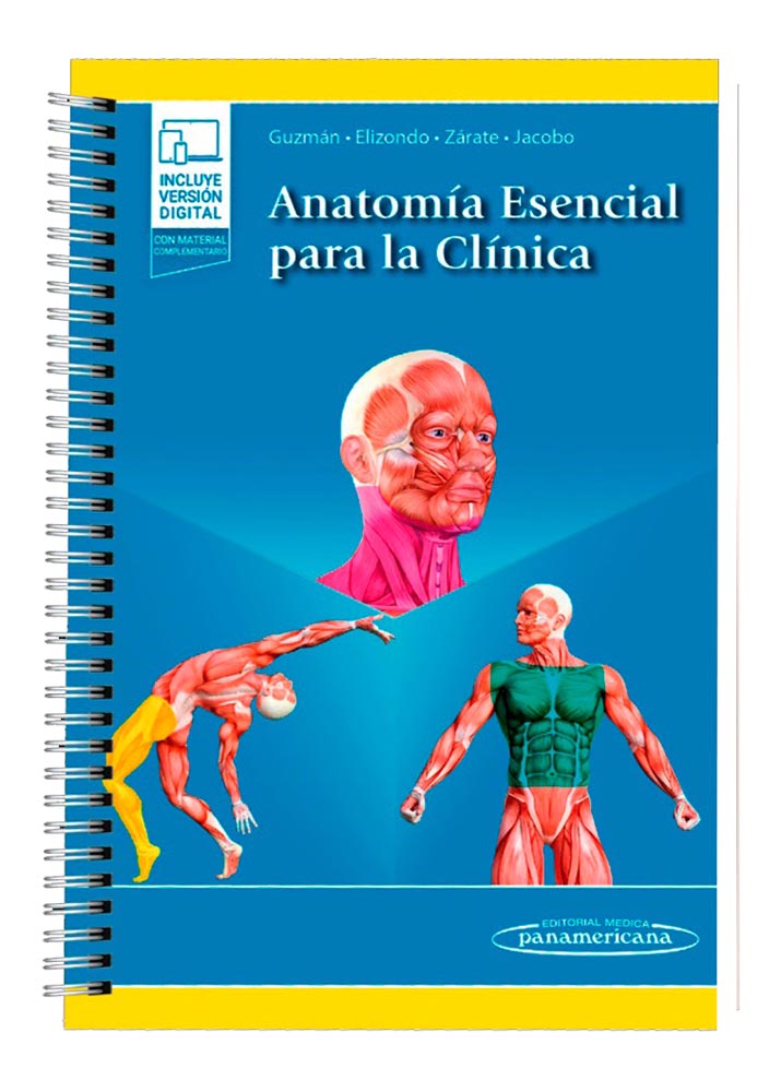 GUZMAN- ANATOMIA ESENCIAL PARA LA CLINICA