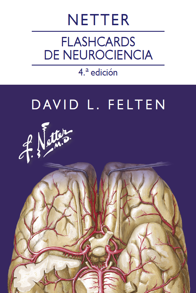 FELTEN - NETTER FLASH CARDS NEUROCIENCIA 4ED