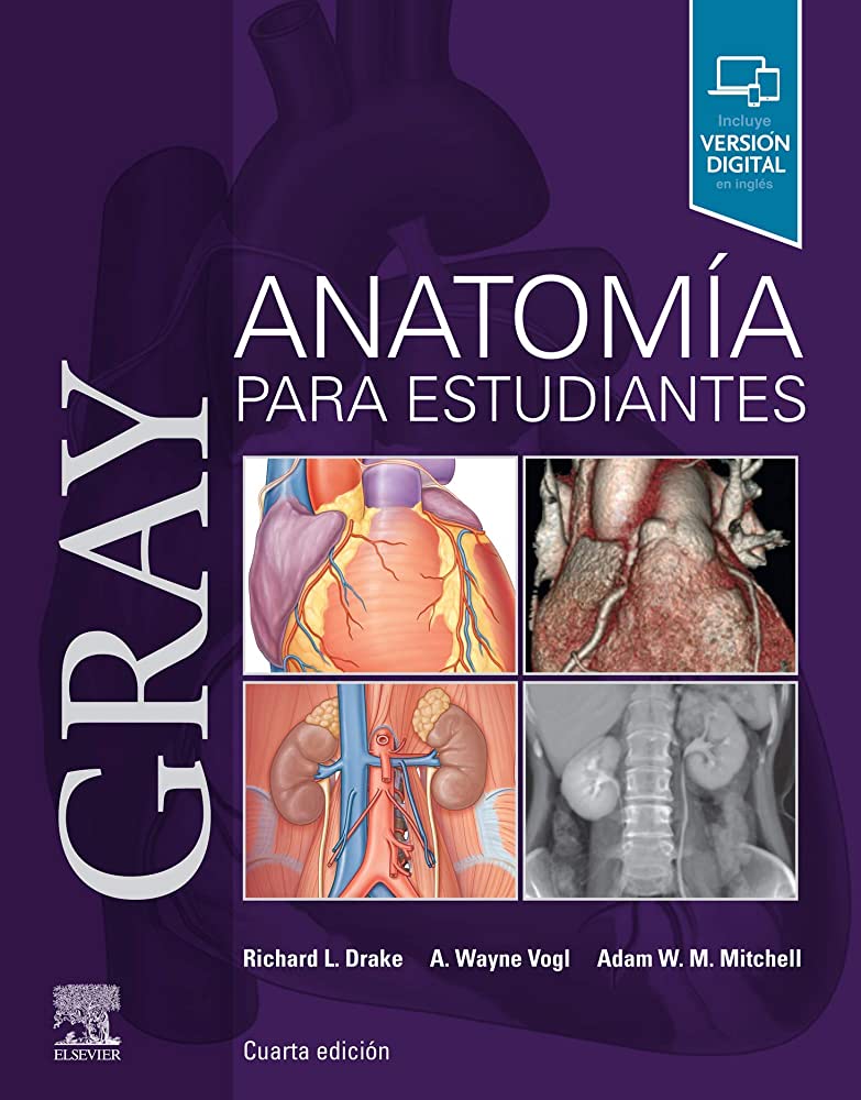 GRAY. ANATOMÍA PARA ESTUDIANTES 4 ED. © 2020 R 2021