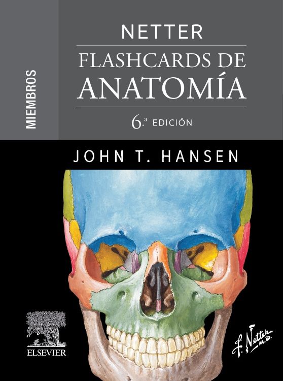 HANSEN - NETTER FLASHCARDS DE ANATOMIA