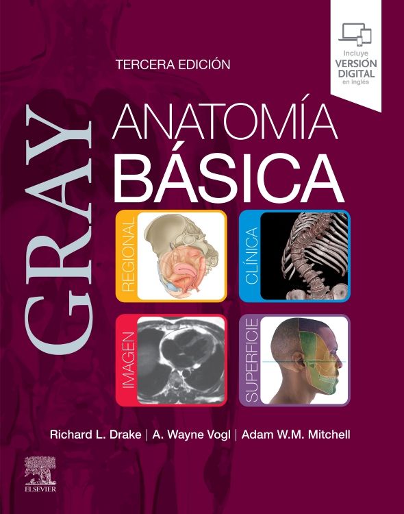 DRAKE - GRAY. ANATOMÍA BÁSICA 3a 2023