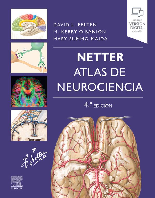NETTER. ATLAS DE NEUROCIENCIA 4A ED. AÑO 2022