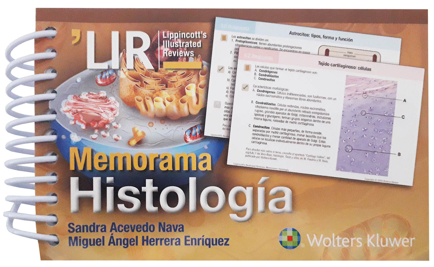 MEMORAMA. HISTOLOGÍA- EDICIÓN 1.ª AÑO 2019