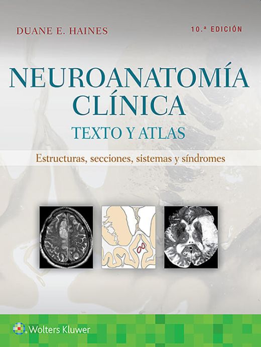 NEUROANATOMÍA CLÍNICA