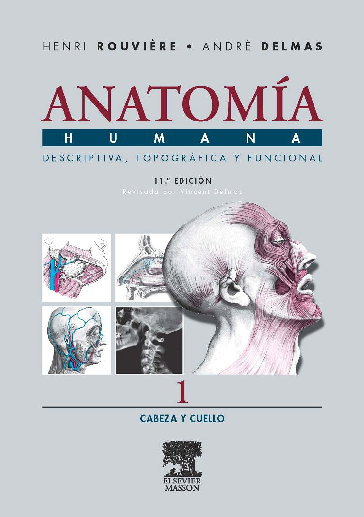 ROUVIÈRE, H., ANATOMÍA HUMANA DESCRIPTIVA, TOPOGRÁFICA Y FUNCIONAL. TOMO 1. CABEZA Y CUELLO 11 ED. © 2005 R 2019