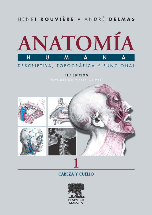 ROUVIÈRE, H., ANATOMÍA HUMANA DESCRIPTIVA, TOPOGRÁFICA Y FUNCIONAL. TOMO 1. CABEZA Y CUELLO 11 ED. © 2005 R 2019