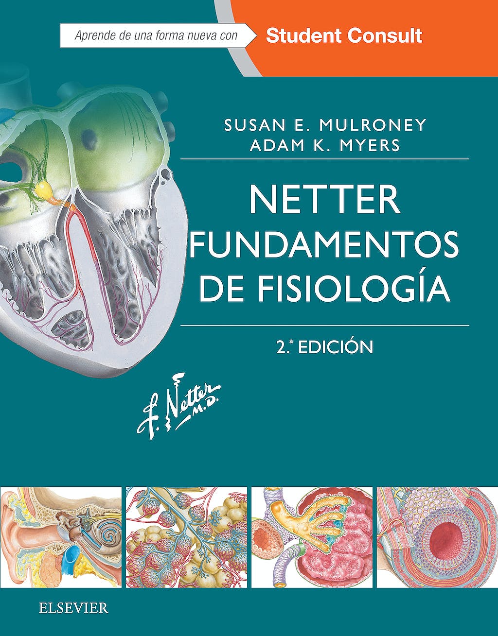 MULRONEY, S.E., NETTER. FUNDAMENTOS DE FISIOLOGÍA 2 ED. © 2016