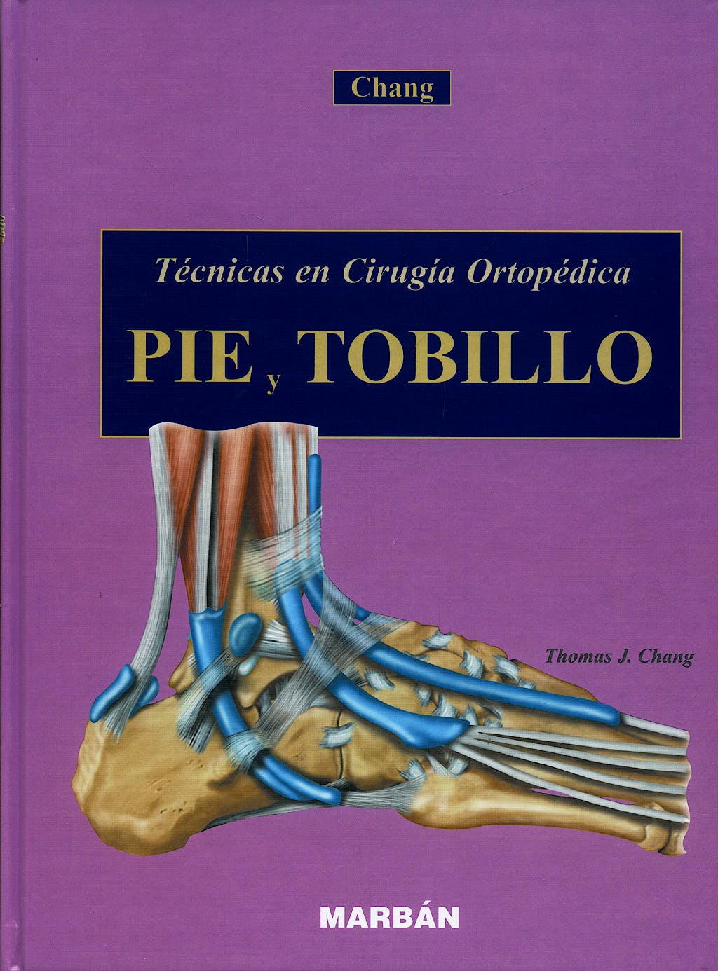 PIE Y TOBILLO
