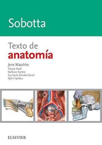 WASCHKE, J., SOBOTTA. TEXTO DE ANATOMÍA © 2018 R 2019