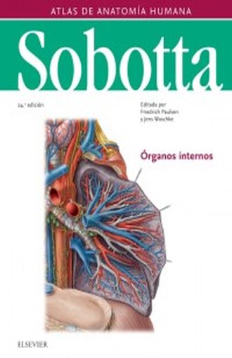 PAULSEN, F., SOBOTTA. ATLAS DE ANATOMÍA HUMANA VOL 2 24 ED. © 2018 R 2019