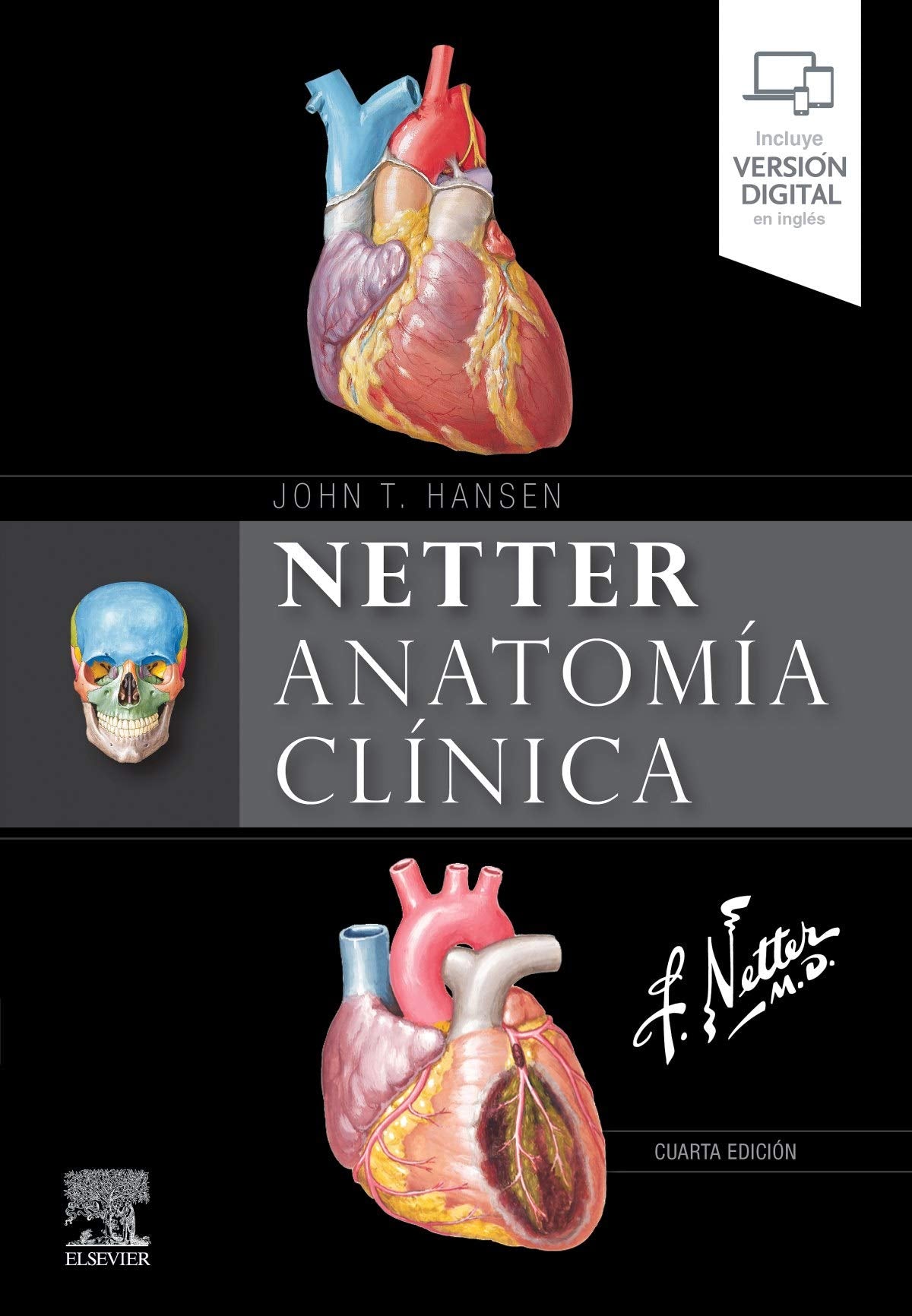 HANSEN - ANATOMIA CLINICA 4A 2020