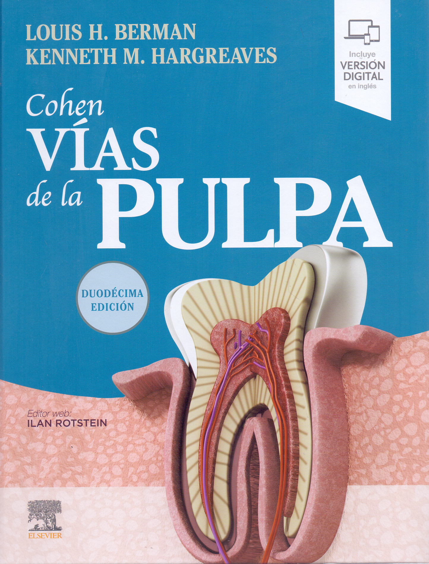 Cohen. Vías de la Pulpa