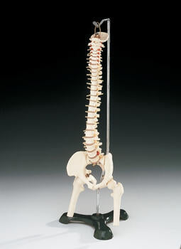 COLUMNA FLEXIBLE ( MINI SPINE W/HANGING