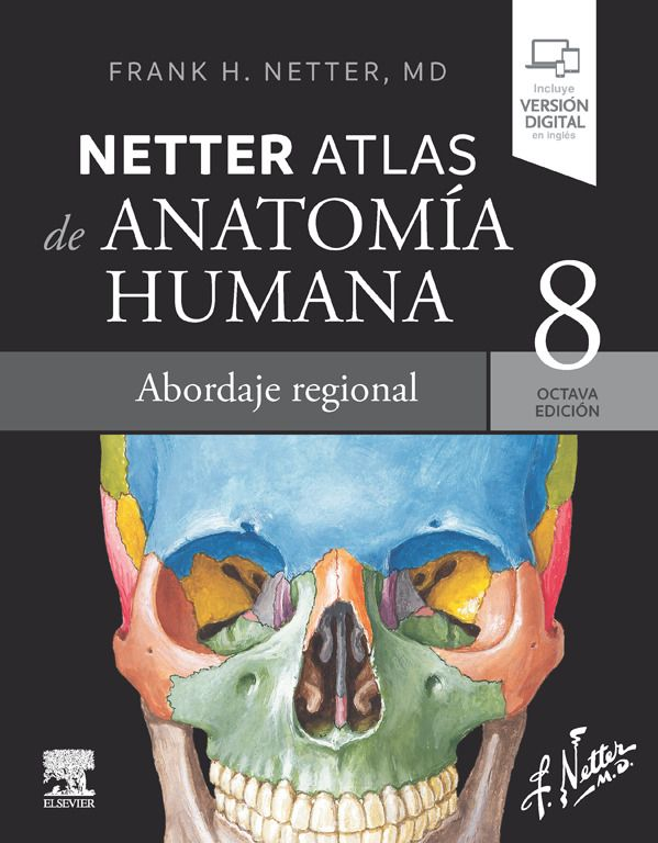 NETTER - ATLAS DE ANATOMÍA
