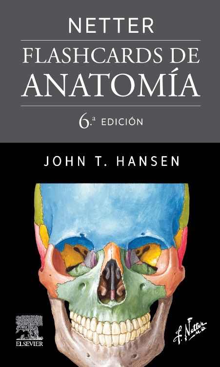 HANSEN - FLASHCARDS DE ANATOMÍA