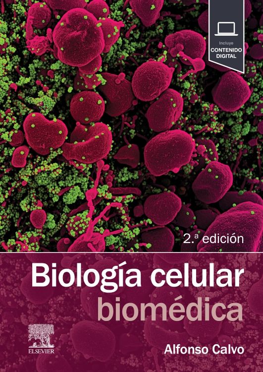 CALVO - BIOLOGÍA CELULAR BIOMÉDICA 2a 20