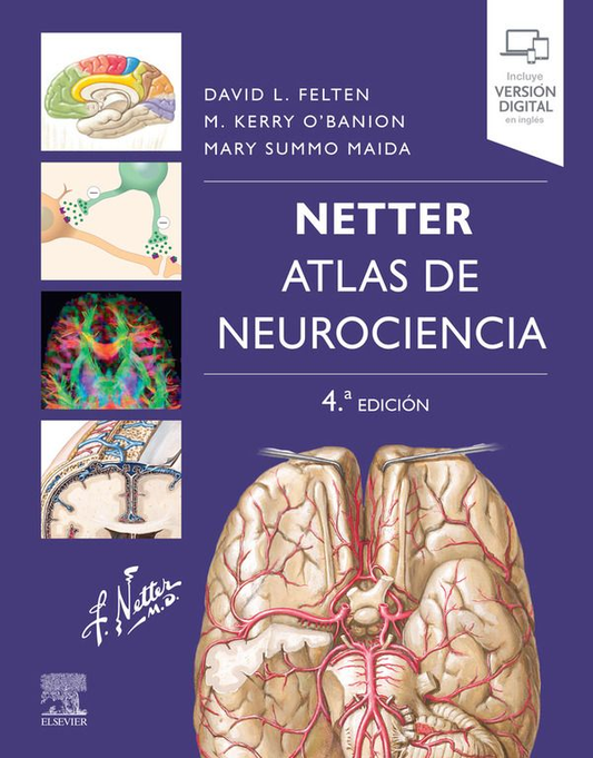 NETTER. ATLAS DE NEUROCIENCIA  4A ED. AÑO 2022