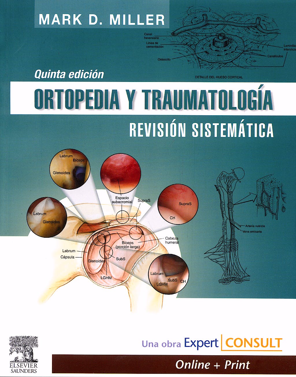 MILLER, M.D., ORTOPEDIA Y TRAUMATOLOGÍA. REVISIÓN SISTEMÁTICA 5 ED. © 2009 R 2019