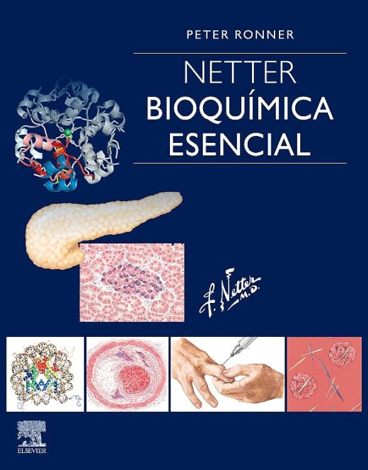 RONNER, P., NETTER. BIOQUÍMICA ESENCIAL © 2019