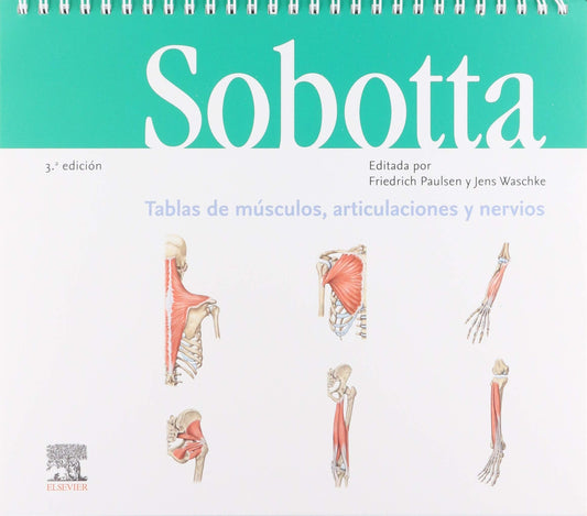 PAULSEN, F., SOBOTTA. TABLAS DE MÚSCULOS, ARTICULACIONES Y NERVIOS 3 ED. © 2019