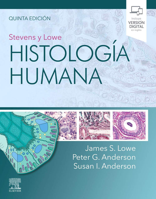 LOWE, J.S., STEVENS Y LOWE. HISTOLOGÍA HUMANA 5 ED. © 2020