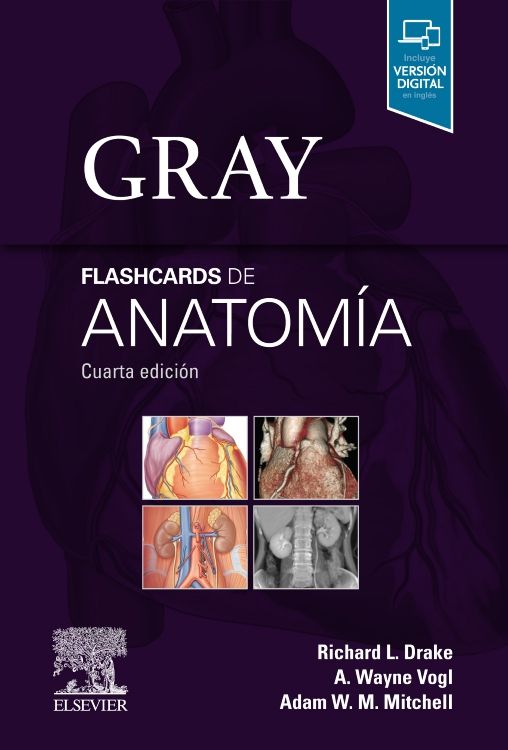 GRAY - FLASHCARDS DE ANATOMÍA, 4ta EDICIÓN